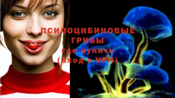 бутират Алексеевка