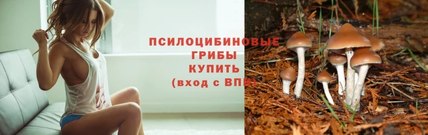 трава Алексин