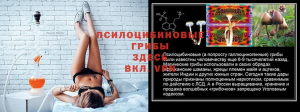 круглые Алзамай