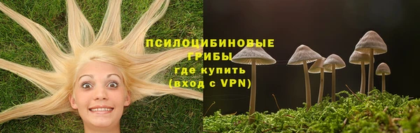 круглые Алзамай