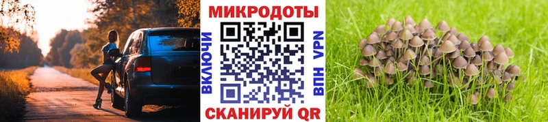 мориарти какой сайт  что такое наркотик  Андреаполь  Псилоцибиновые грибы Magic Shrooms 